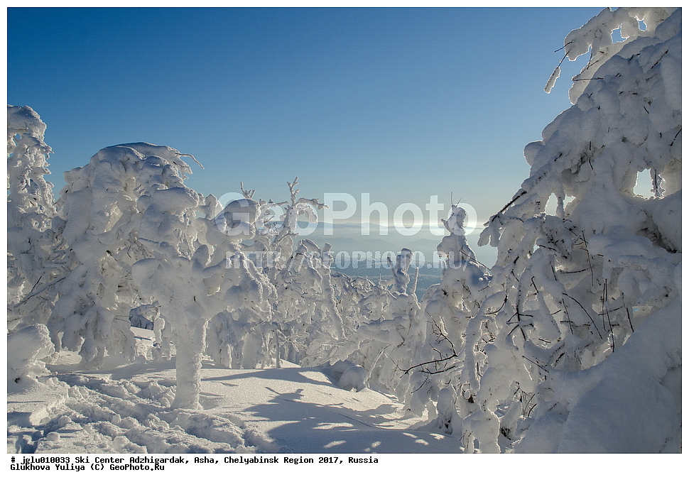 ����������� �����, ����������, ���, ����������� ������� 2017, ������