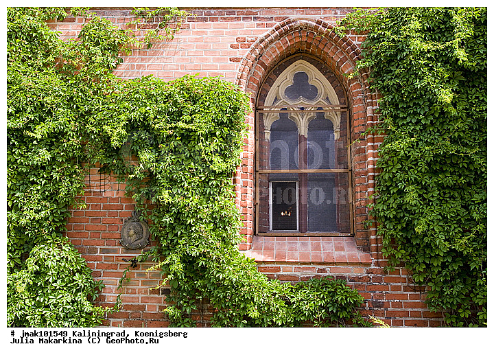 �����������, ������������, ʸ��������, ����, �����, �����, ����������