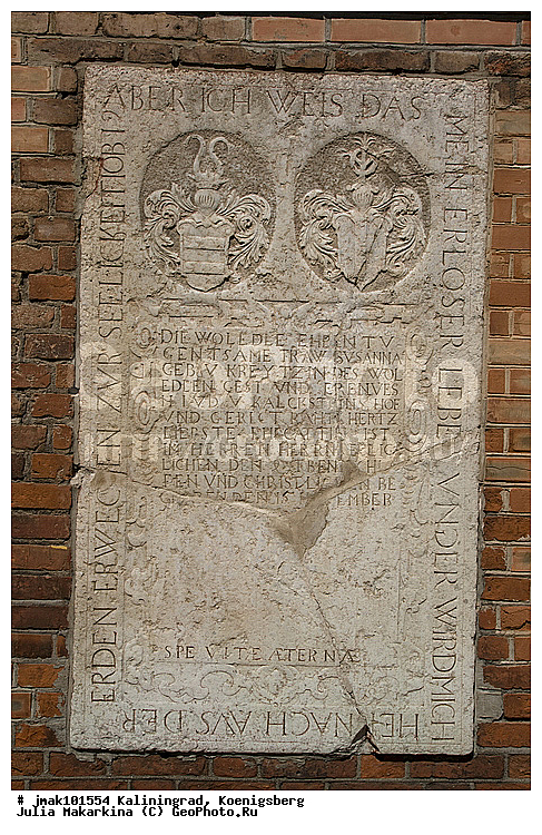 �����������, ʸ��������, ������������, ���������, �����, ����, ��������