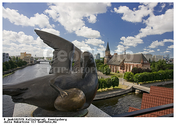 �����������, ʸ��������, ������������, �����, ���������, ����, �����