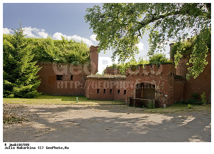 �����������, ʸ��������, �������, ������� ���������������, ����������