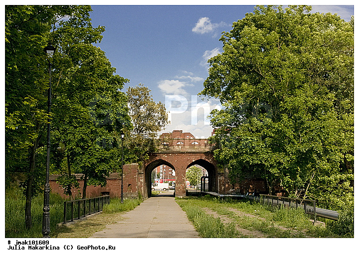 ��������������� ������, �����������, ʸ��������, ������, ����������