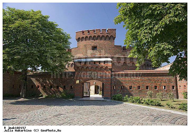 �����������, ʸ��������, ����� ������, �����, ����� ����, �����, ����������