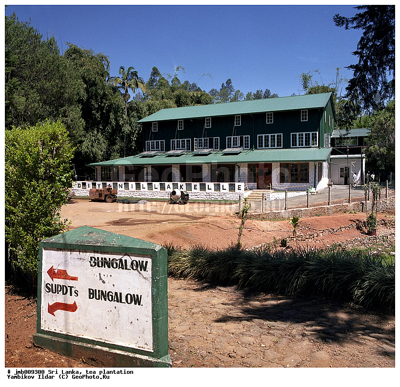 ���-�����, ���������, ���, ������ ���������