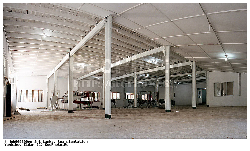 ���-�����, ���������, ���, ������ ���������