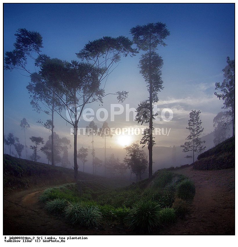 ���-�����, ���������, ���, ������ ���������