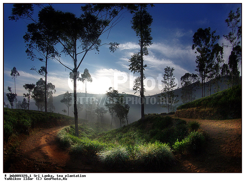 ���-�����, ���������, ���, ������ ���������