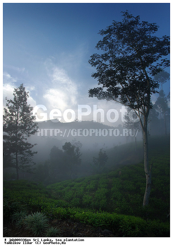 ���-�����, ���������, ���, ������ ���������