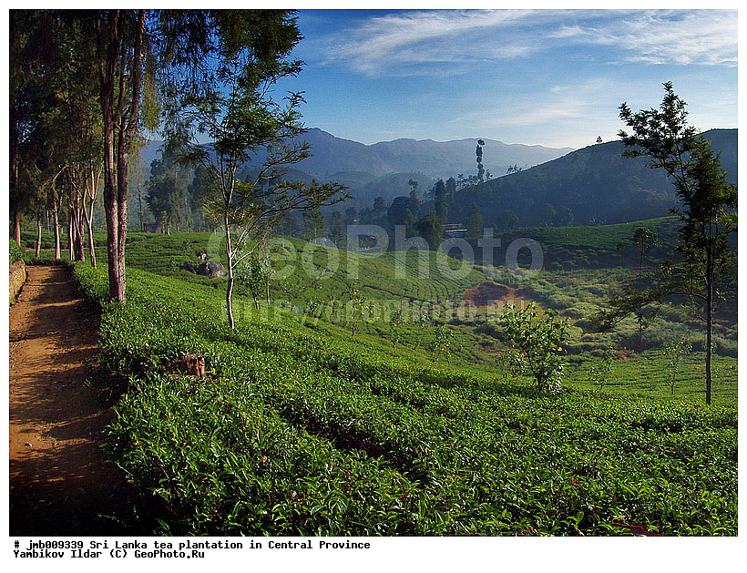 ���-�����, ������, ���������, ���, ������ ���������