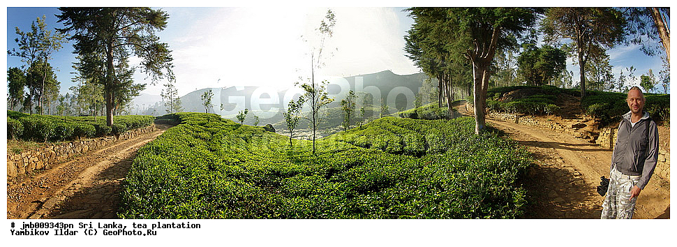 ���-�����, ���������, ���, ������ ���������