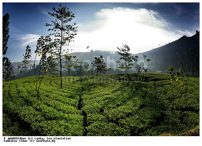 ���-�����, ���������, ���, ������ ���������