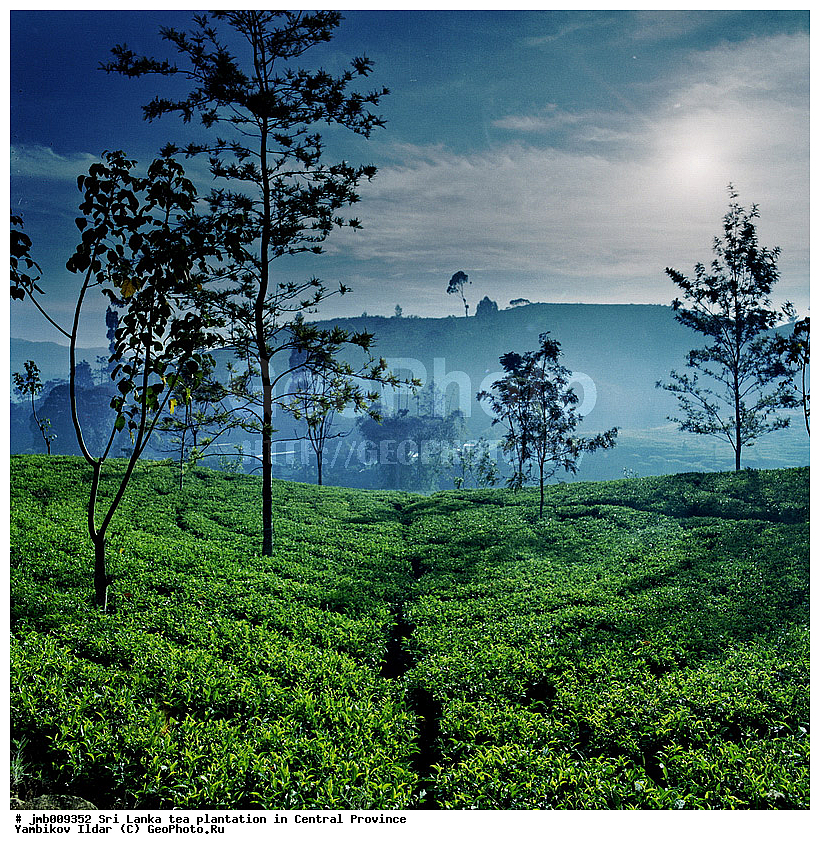 ���-�����, ������, ���������, ���, ������ ���������