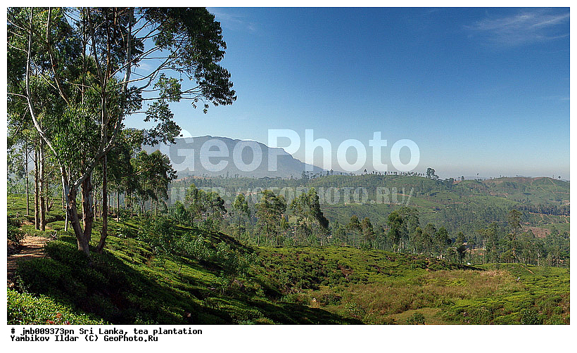 ���-�����, ���������, ���, ������ ���������