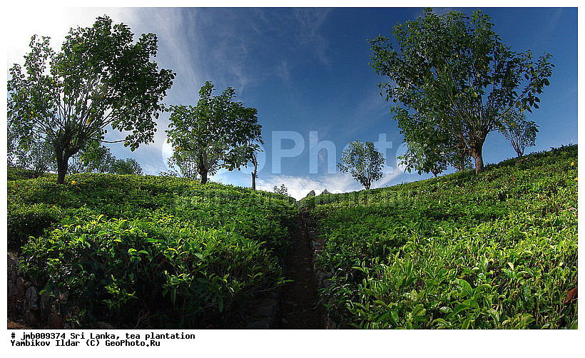 ���-�����, ���������, ���, ������ ���������