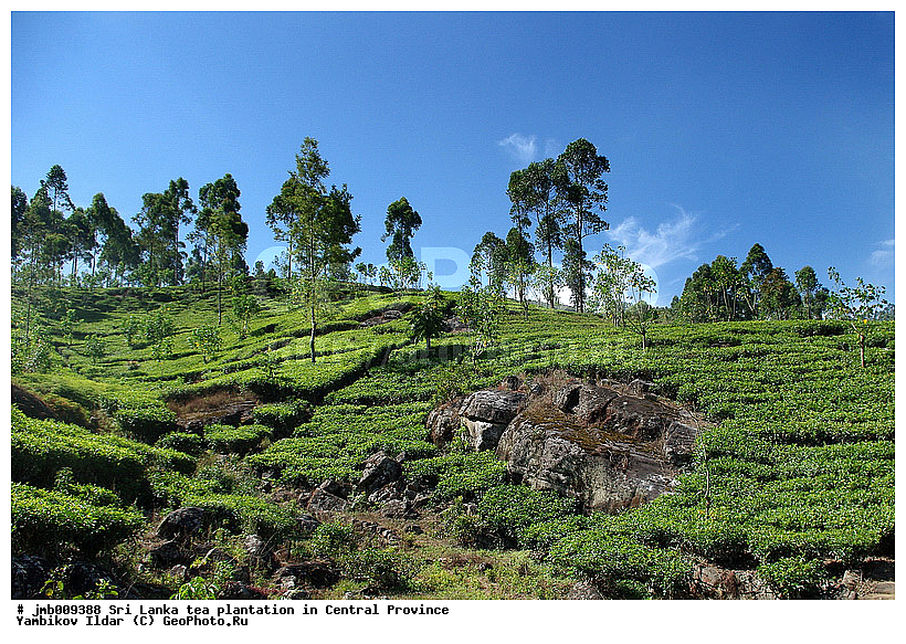 ���-�����, ������, ���������, ���, ������ ���������