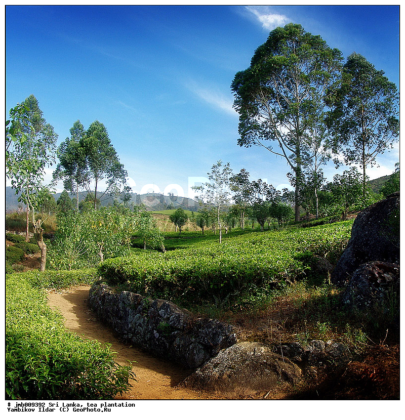 ���-�����, ���������, ���, ������ ���������