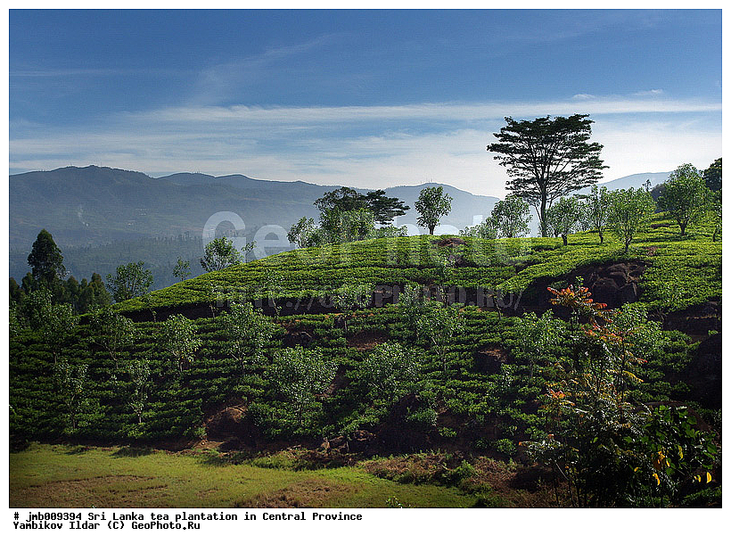 ���-�����, ������, ���������, ���, ������ ���������