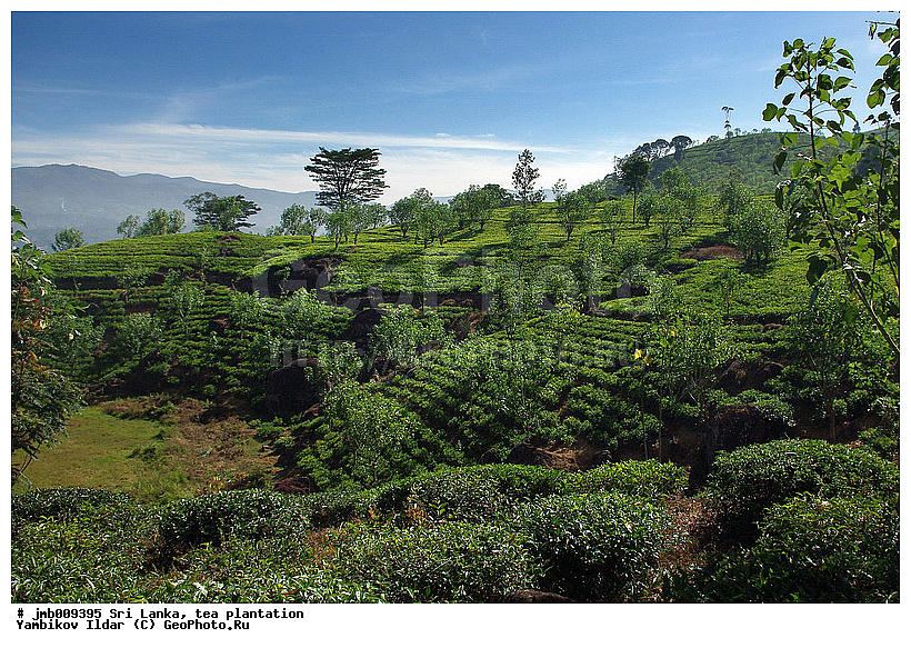 ���-�����, ���������, ���, ������ ���������