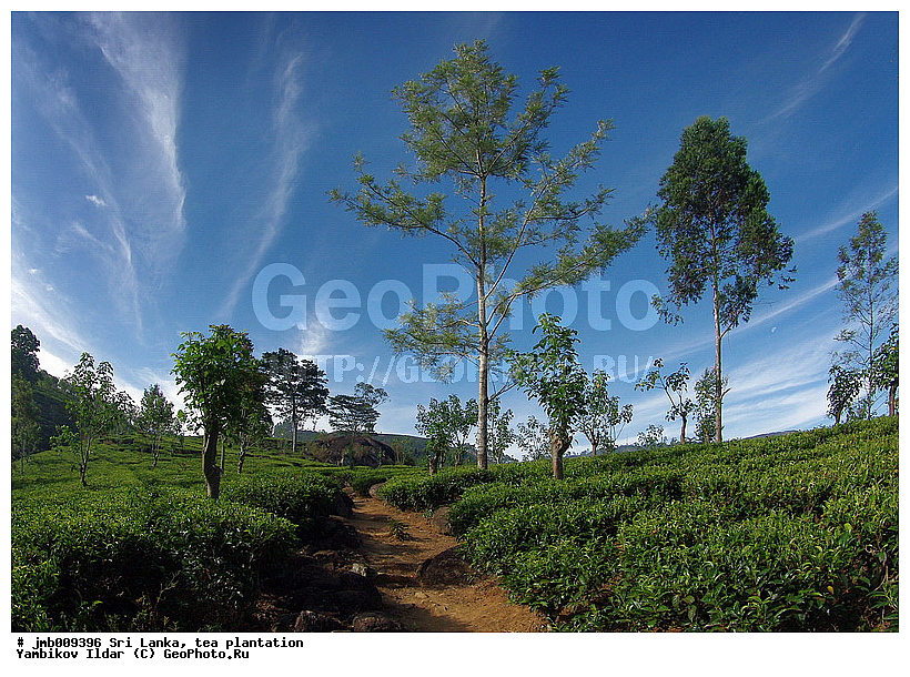 ���-�����, ���������, ���, ������ ���������