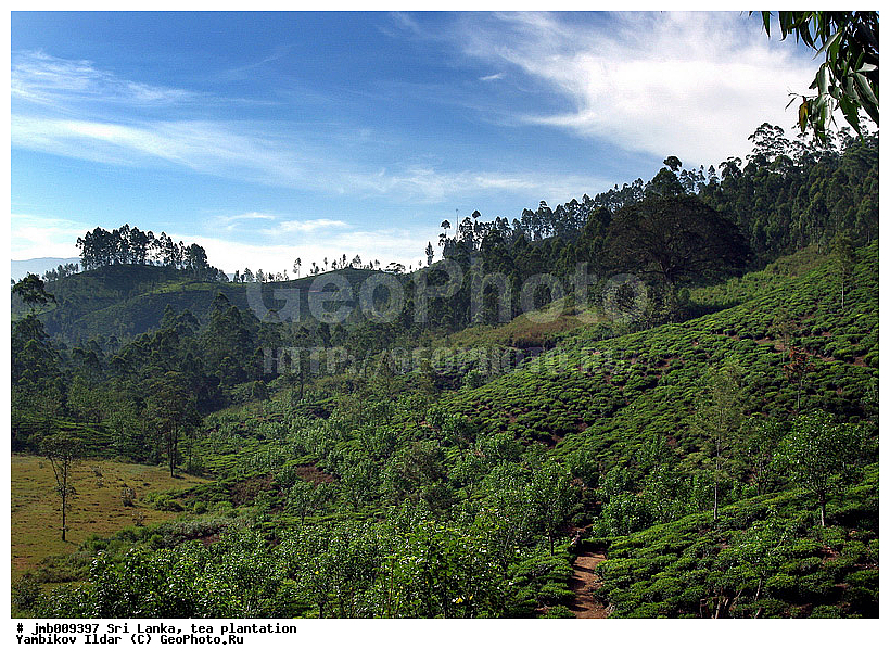 ���-�����, ���������, ���, ������ ���������