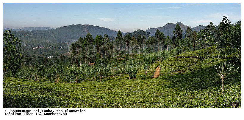 ���-�����, ���������, ���, ������ ���������