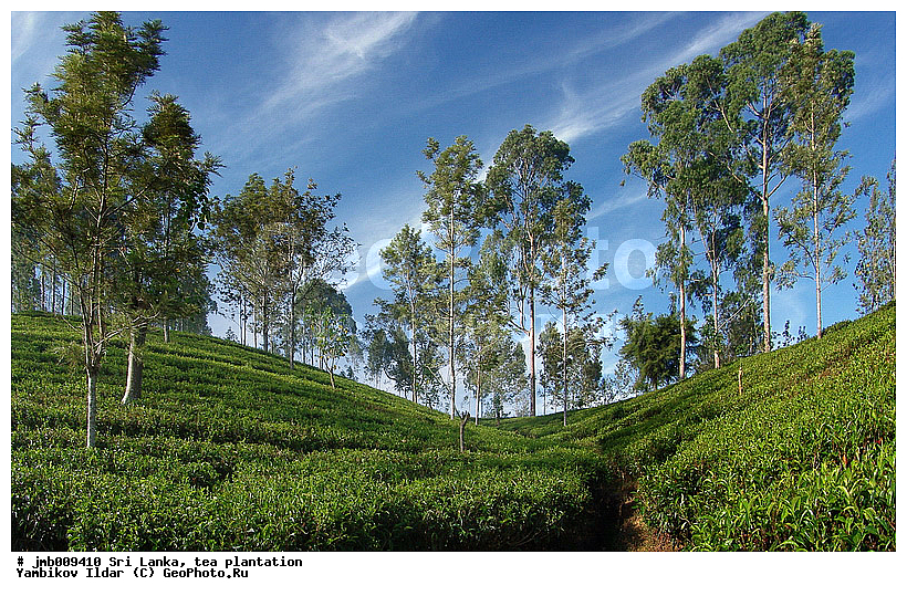 ���-�����, ���������, ���, ������ ���������