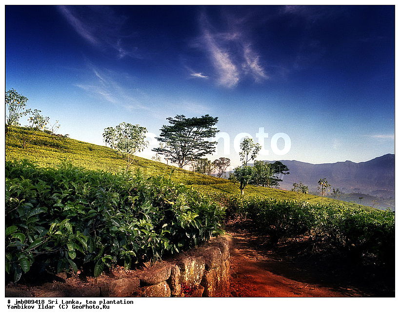 ���-�����, ���������, ���, ������ ���������