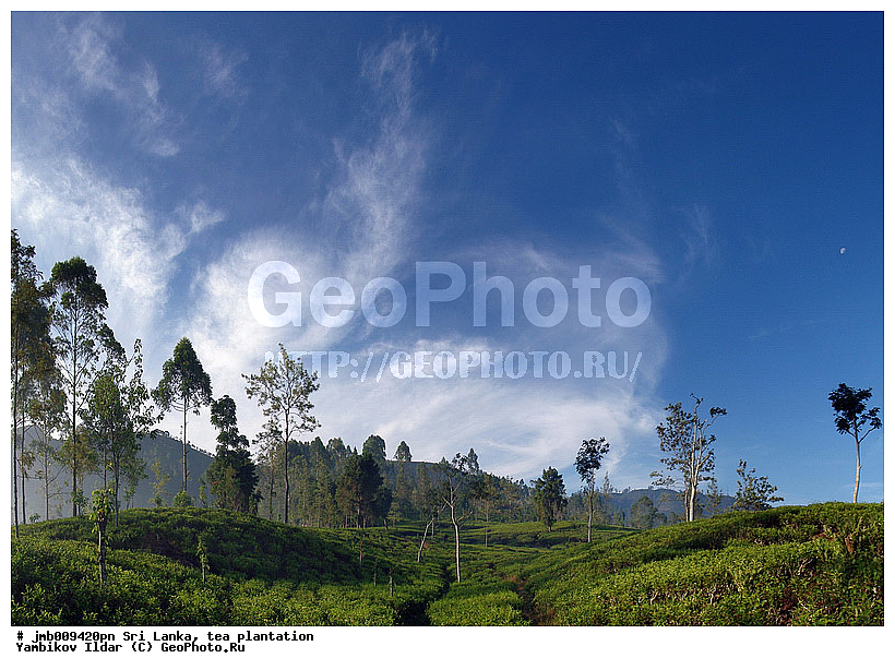 ���-�����, ���������, ���, ������ ���������