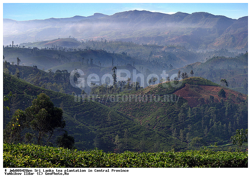 ���-�����, ������, ���������, ���, ������ ���������