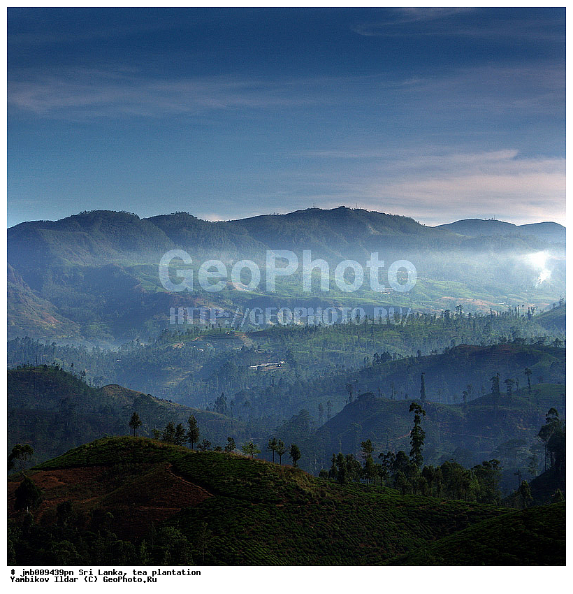 ���-�����, ���������, ���, ������ ���������