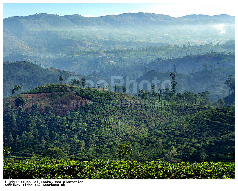 ���-�����, ���������, ���, ������ ���������