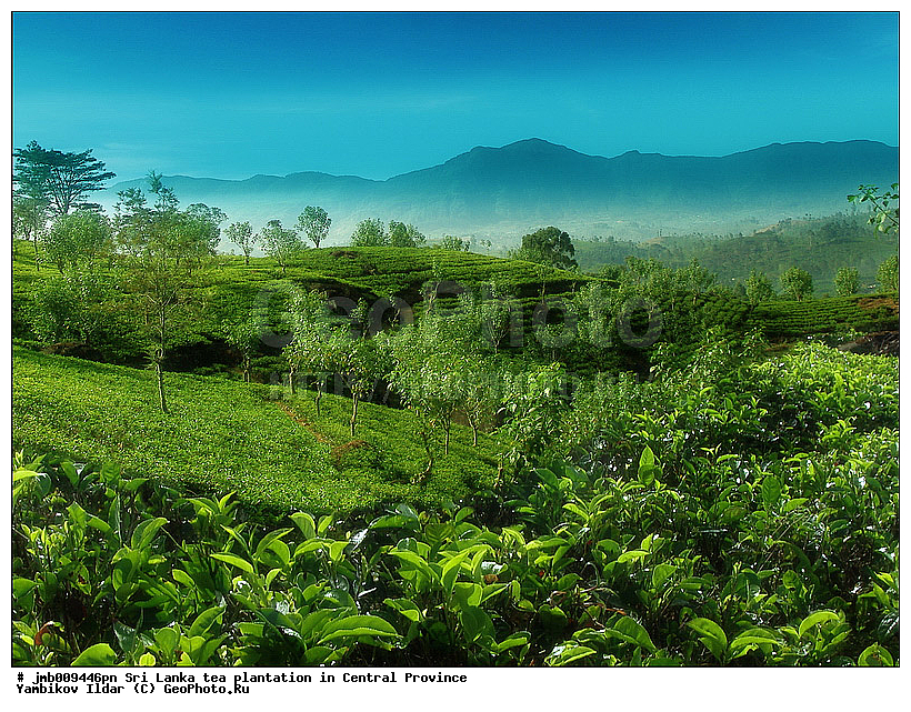 ���-�����, ������, ���������, ���, ������ ���������