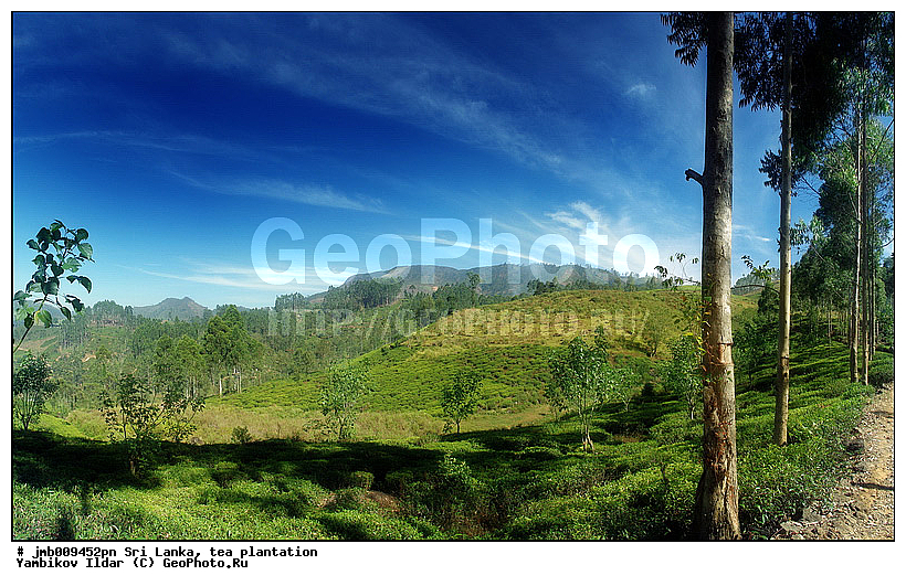 ���-�����, ���������, ���, ������ ���������