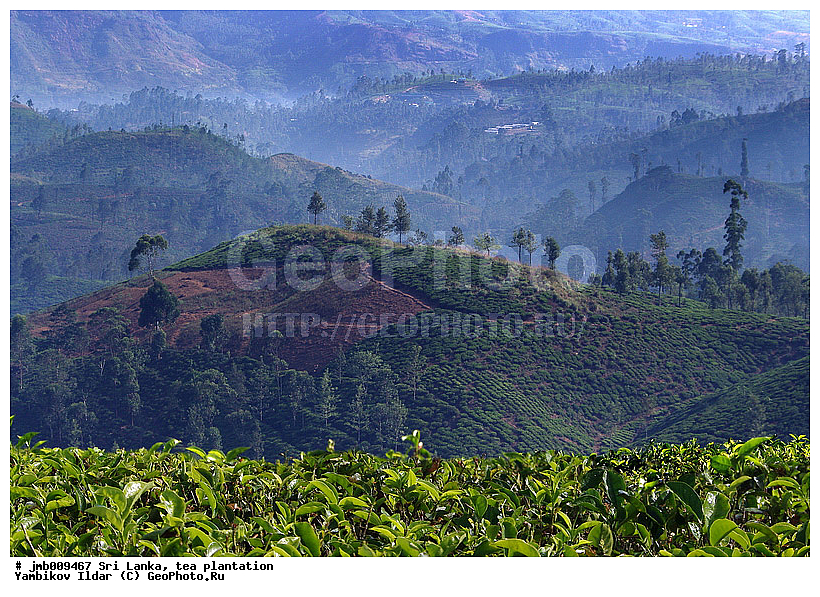 ���-�����, ���������, ���, ������ ���������