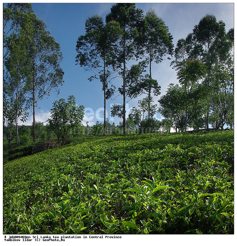 ���-�����, ������, ���������, ���, ������ ���������