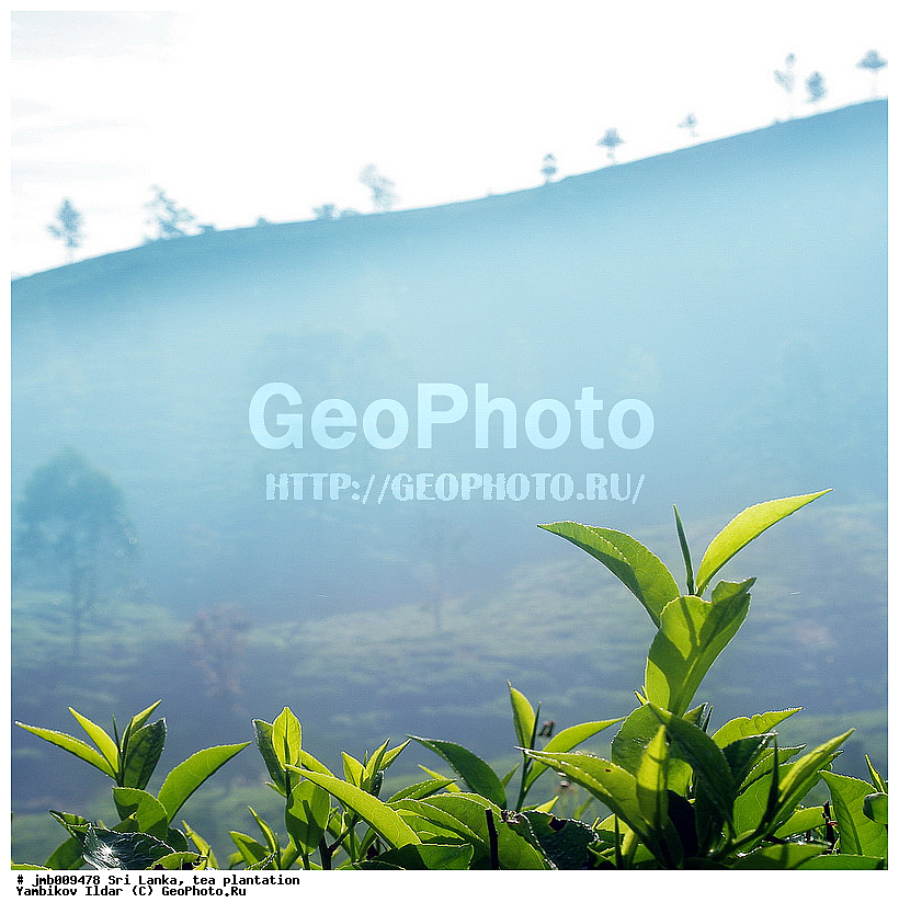 ���-�����, ���������, ���, ������ ���������