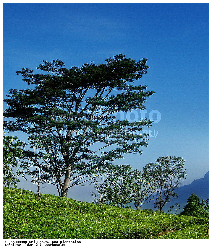 ���-�����, ���������, ���, ������ ���������