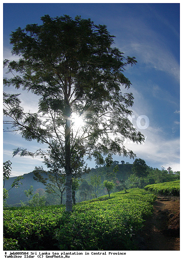 ���-�����, ������, ���������, ���, ������ ���������