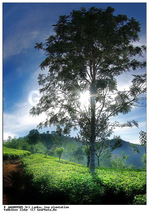 ���-�����, ���������, ���, ������ ���������