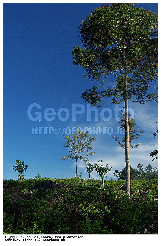 ���-�����, ���������, ���, ������ ���������