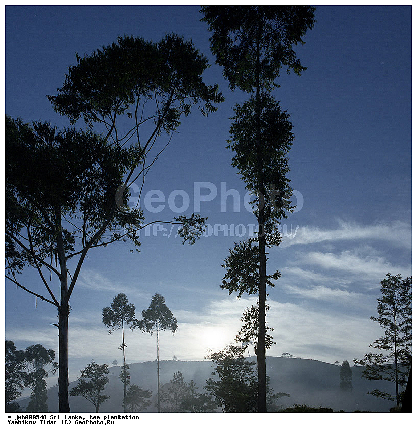 ���-�����, ���������, ���, ������ ���������