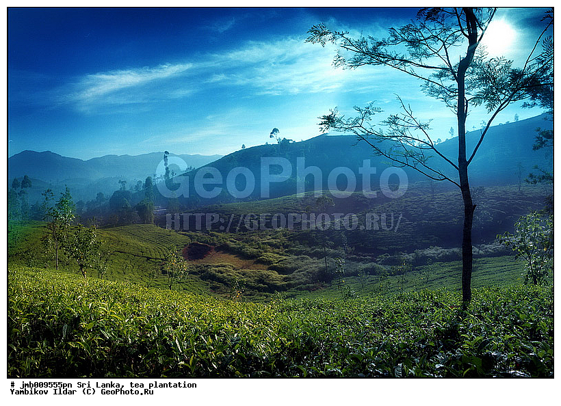 ���-�����, ���������, ���, ������ ���������