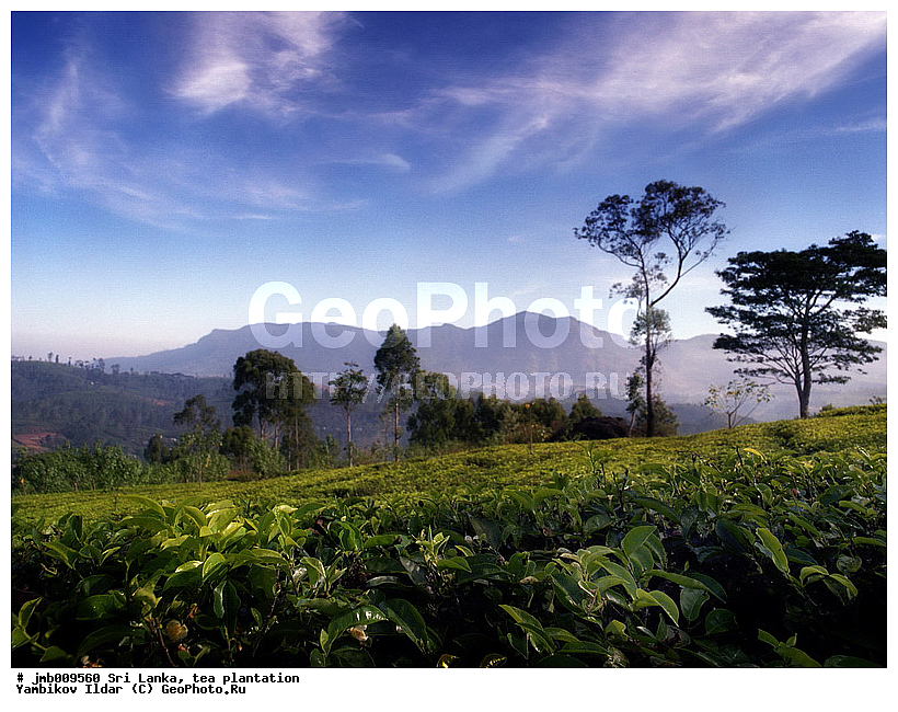 ���-�����, ���������, ���, ������ ���������