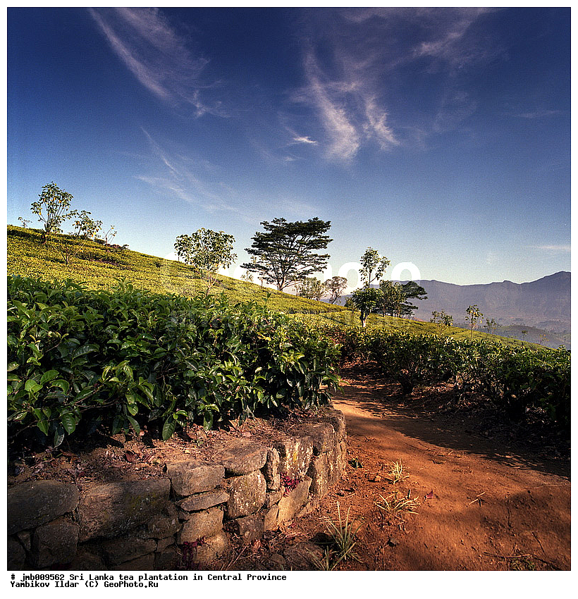 ���-�����, ������, ���������, ���, ������ ���������