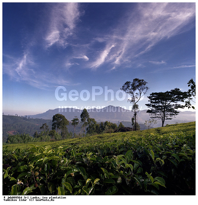 ���-�����, ���������, ���, ������ ���������