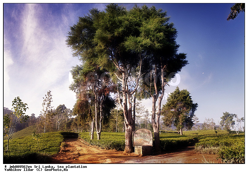 ���-�����, ���������, ���, ������ ���������