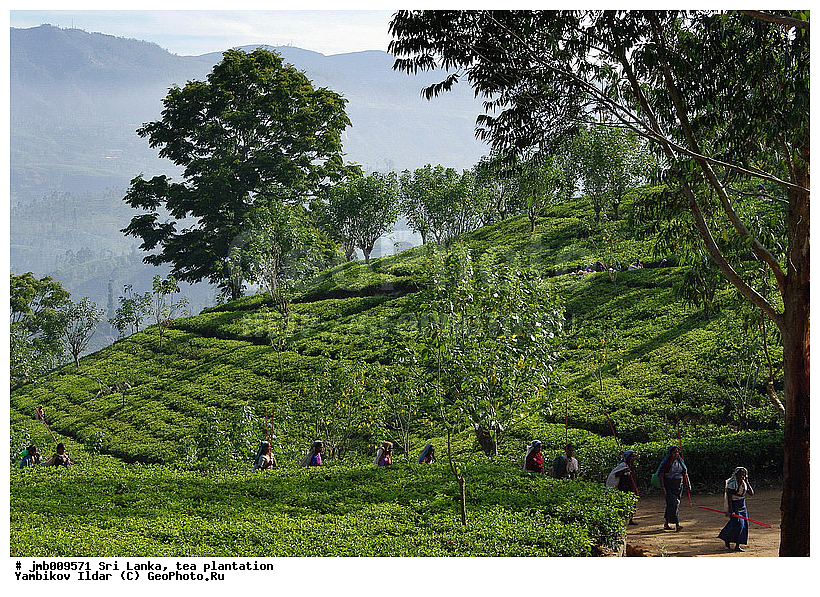 ���-�����, ���������, ���, ������ ���������