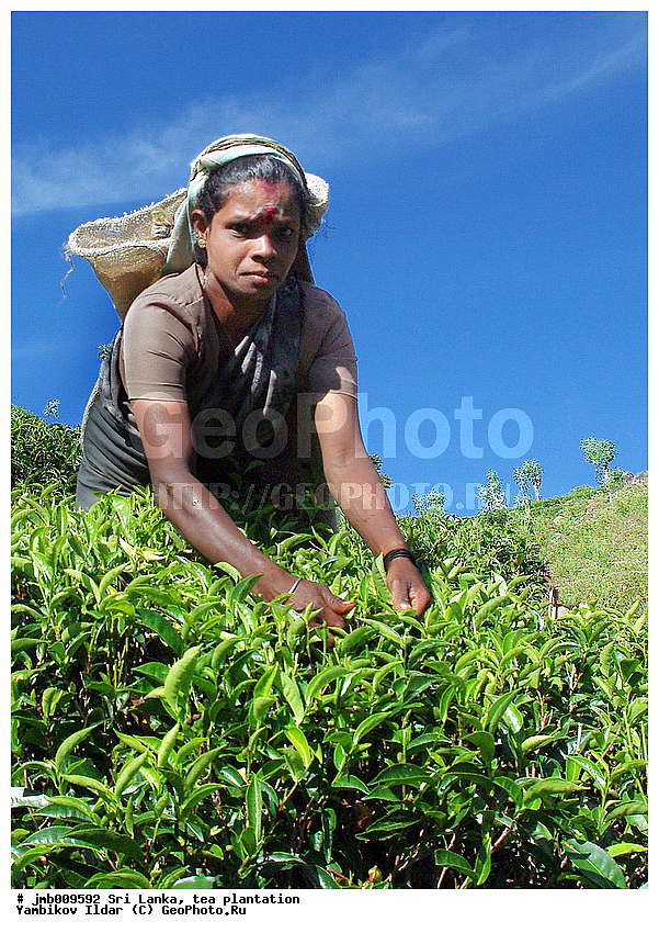 ���-�����, ���������, ���, ������ ���������