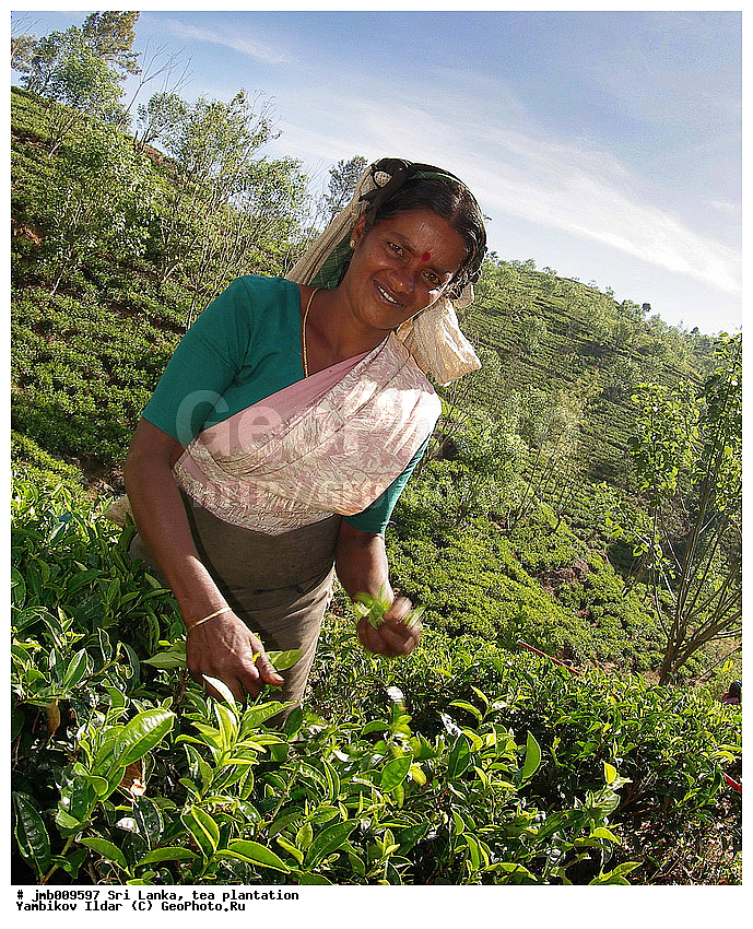 ���-�����, ���������, ���, ������ ���������