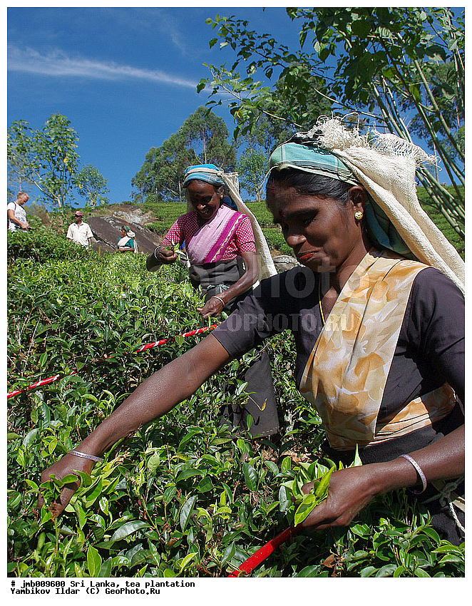 ���-�����, ���������, ���, ������ ���������